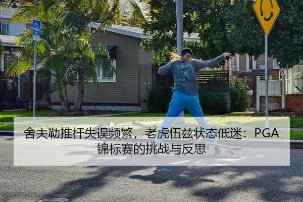 she-fu-lei-tui-gan-shi-wu-pin-fan-lao-hu-wu-zi-zhuang-tai-di-mi-jin-biao-sai-de-tiao-zhan-yu-fan-si-3-625.jpg