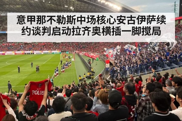 football stadium fans