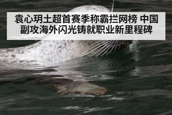 袁心玥土超首赛季称霸拦网榜 中国副攻海外闪光铸就职业新里程碑